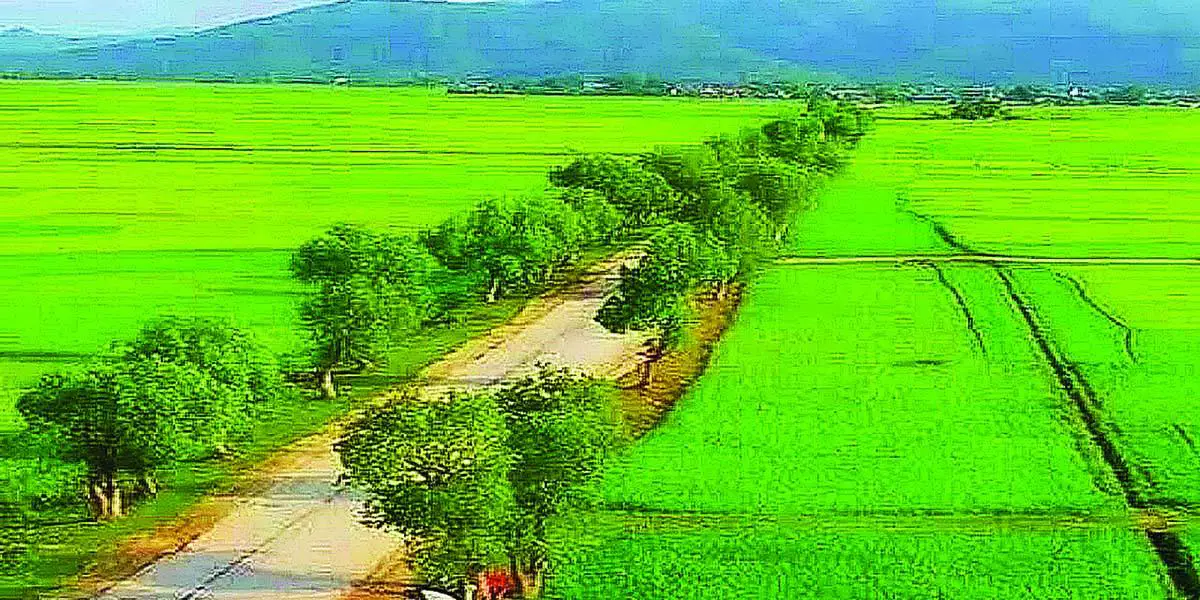 বাংলাদেশের প্রাকৃতিক দৃশ্য/সৌন্দর্য্য বিষয়ক প্রবন্ধ রচনা, ১ম পর্ব, এইচএসসি বাংলা ২য় পত্র